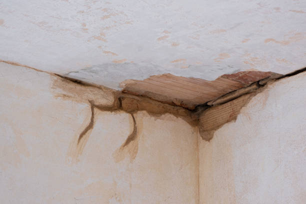 Best Water damage restoration near me  in Newberry, MI